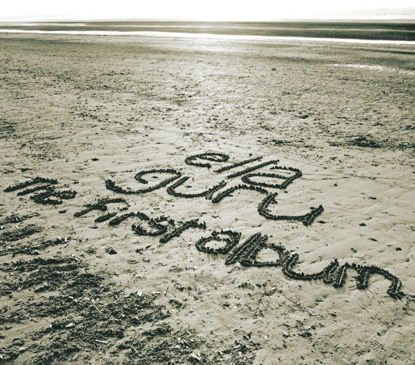 artwork for The First Album